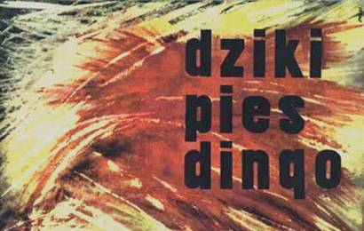 cccp.fun_dikaya-sobaka-dingo