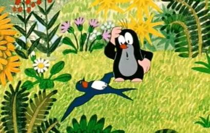 Крот и ласточка