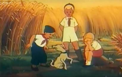 Часовые полей