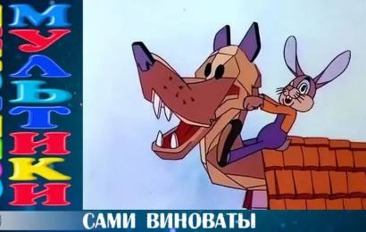 Сами виноваты