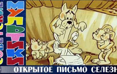 Открытое письмо селезня