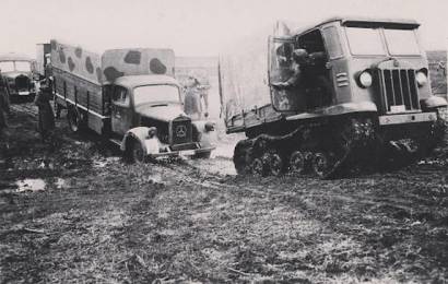cccp.fun_stz-5