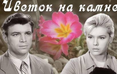 Цветок на камне