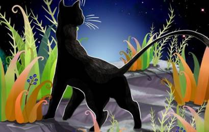 Кошка, которая гуляла сама по себе