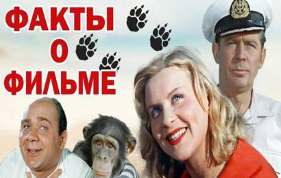 Полосатый рейс – интересное