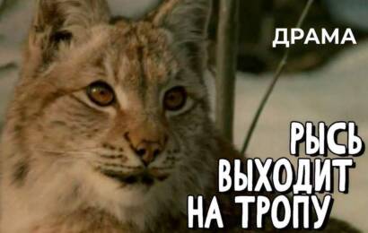 Рысь выходит на тропу Рысь выходит на тропу
