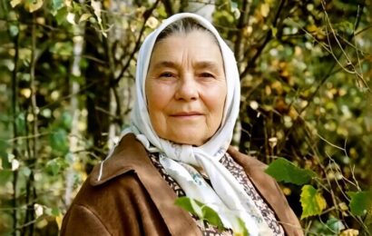 Деревья на асфальте
